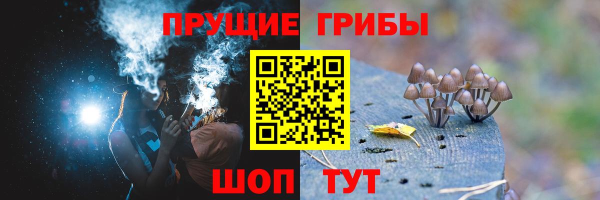 Галлюциногенные грибы Magic Shrooms  Вход с VPN  Галлюциногенные грибы Magic Shrooms  Ноябрьск 